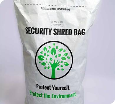 pulp security shared bag