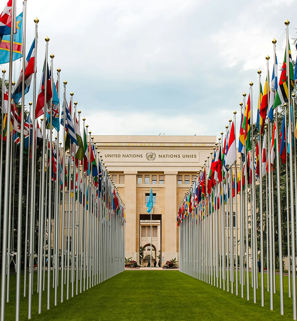 sustainability impact