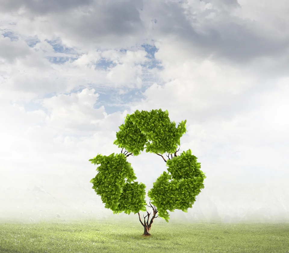 sustainability impact pulp shred canada